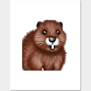 Cute Beaver Drawing Posters and Art